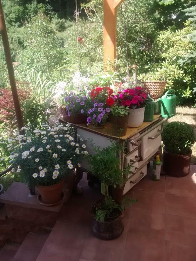 Casa La Collina Delle Ginestre Apartment Eberbach (Rhein-Neckar-Kreis)