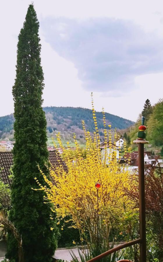 Casa La Collina Delle Ginestre Appartement